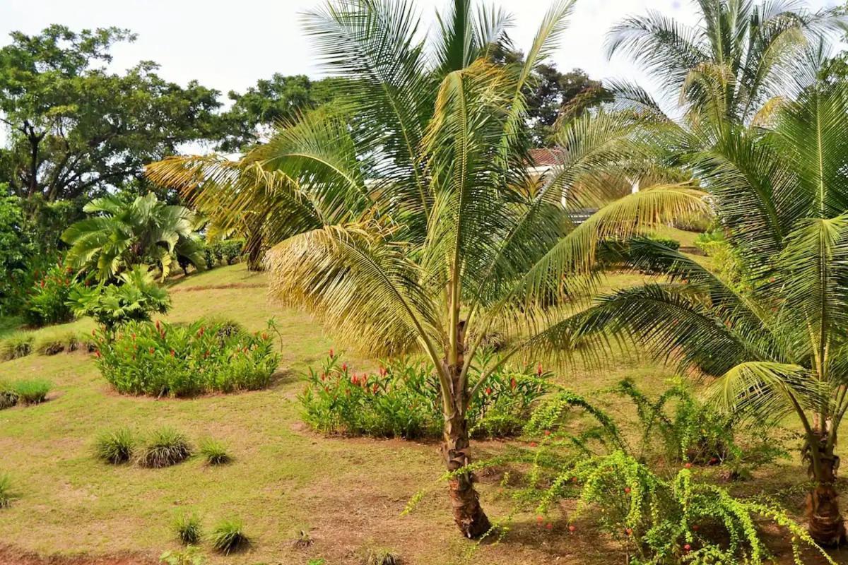 Nathylodge Bocas del Toro Exterior photo